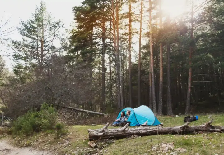 Deux jeunes femmes profitent d'un moment de **camping sauvage en Allemagne**, blotties dans leur tente bleue au milieu d'une forêt de pins ensoleillée.