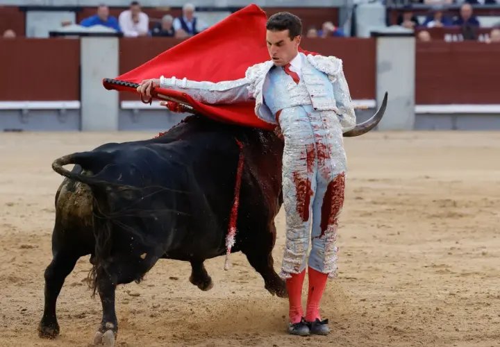 Un torero con traje de luces azul y rojo, manchado de sangre, se enfrenta a un toro negro en la plaza de toros de la ganadería San Isidro.