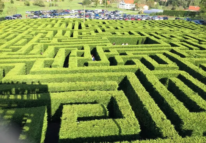 Un laberinto de VillaPresente, con personas explorando sus verdes senderos. ¡Un lugar para perderse y crear recuerdos!