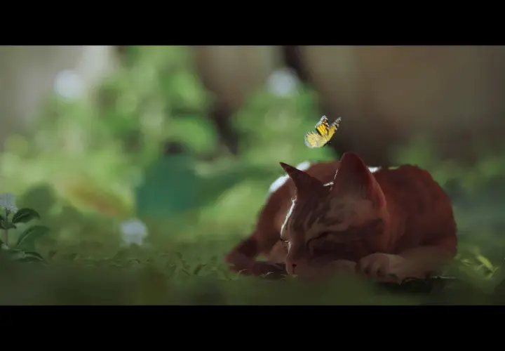 Pomarańczowy kot śpi w trawie, a nad nim lata motyl. Scena z gry o kocie.