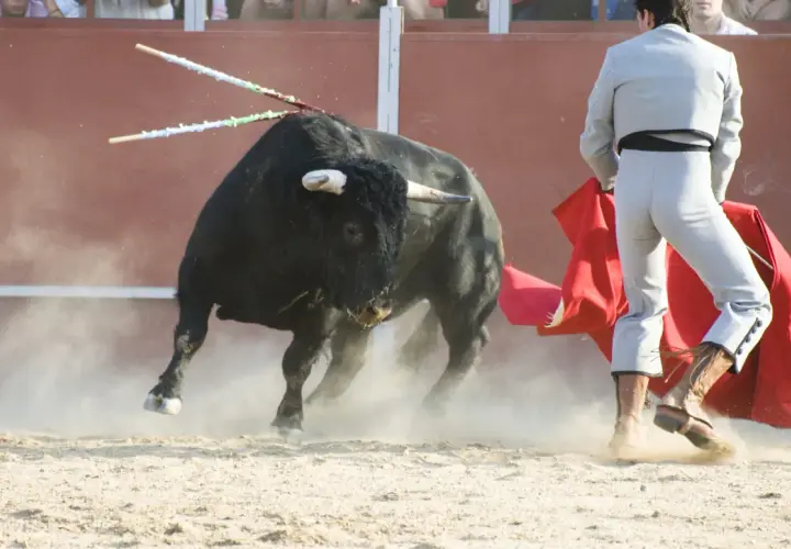 Un toro negro, con dos banderillas clavadas, embiste levantando polvo. Un torero, con su traje de luces, se prepara para el lance.