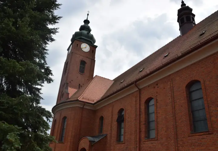 Ceglana wieża kościelna z zegarem i zielona choinka. Wygoda łączenia historii z naturą.