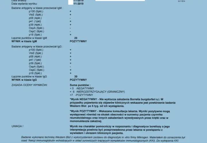 Badania na boreliozę po kleszczu: Kiedy i jakie, by wynik był pewny?