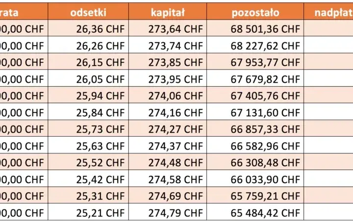 Czy banki udzielają kredytów we frankach? Sprawdź dostępne opcje i ryzyka