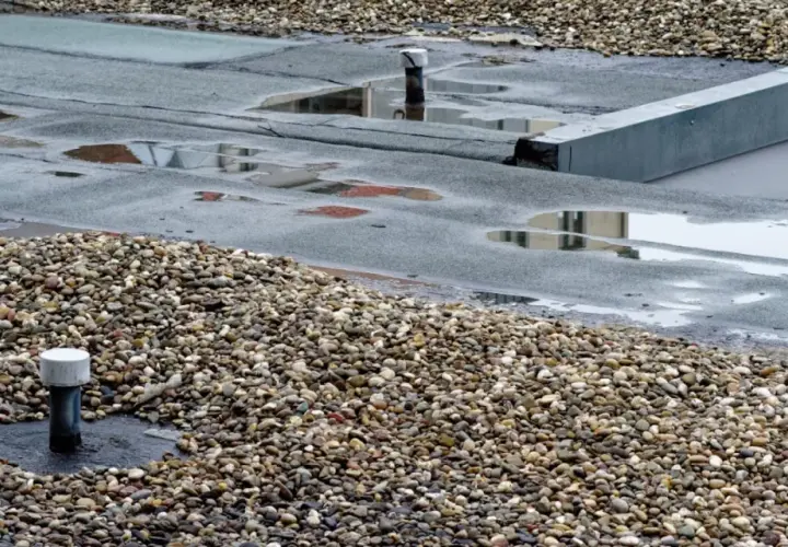 Ein undichtes Flachdach mit stehendem Wasser und Kies. Feuchtigkeit kann zu Schimmelbildung führen.