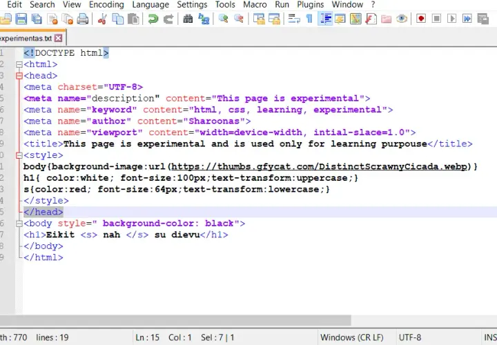 Jak zrobić stronę internetową HTML w Notepad++ bez zbędnych trudności