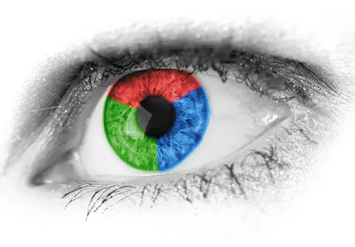Occhio con iride divisa in settori rosso, verde e blu colore primario. Ciglia nere su sfondo bianco.