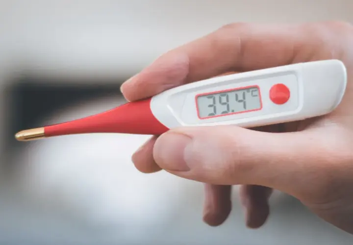 Dłoń trzyma termometr cyfrowy pokazujący 39.4°C. To może oznaczać gorączkę u psa, który potrzebuje pomocy weterynarza.