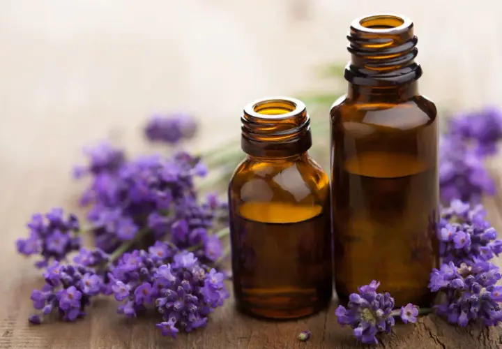 Deux flacons d'huile essentielle de lavande officinale, entourés de fleurs de lavande, évoquant ses nombreux bienfaits relaxants et apaisants.