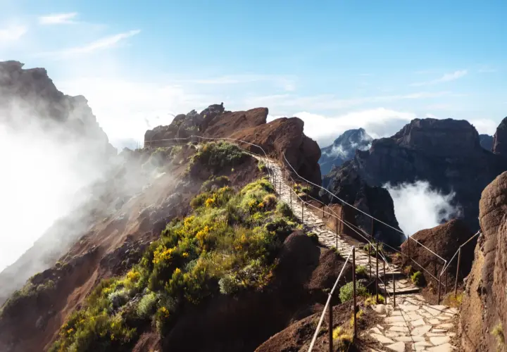 A stone path winds through rugged, misty mountains, dotted with yellow wildflowers. This is the best hike in Madeira, offering breathtaking views.