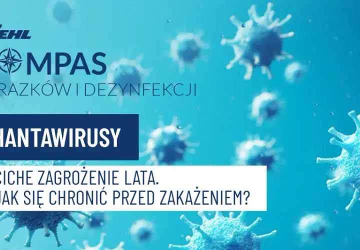 Hantawirusy: ciche zagrożenie lata. Dowiedz się, jak się chronić przed zakażeniem i jego objawami.