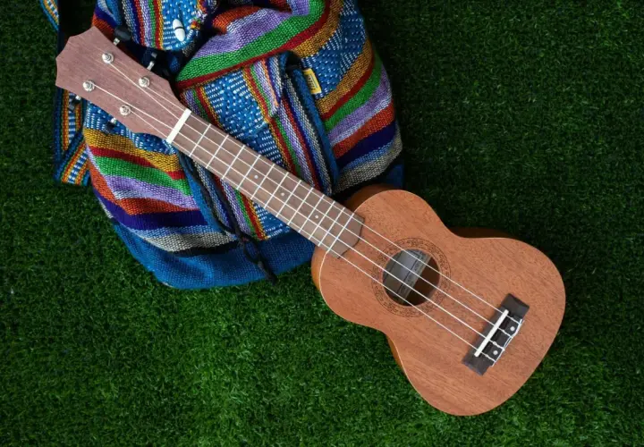 Guitalele czy ukulele – który instrument wybrać i uniknąć błędów? Porównanie dla początkujących