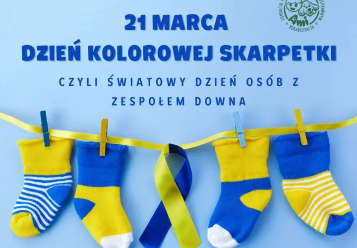 Dzień Kolorowej Skarpetki: Kiedy i dlaczego je zakładamy?