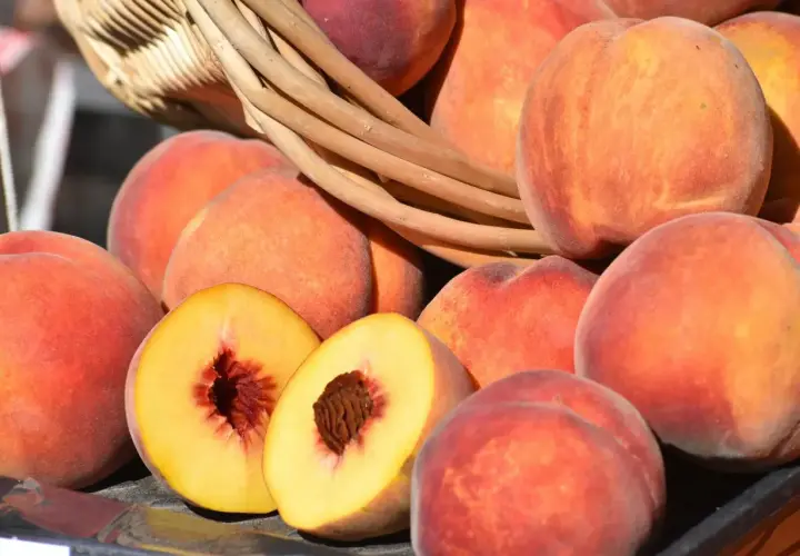 Frische Pfirsiche und Nektarinen lagern in einem Korb. Eine Frucht ist aufgeschnitten und zeigt das saftige Innere.