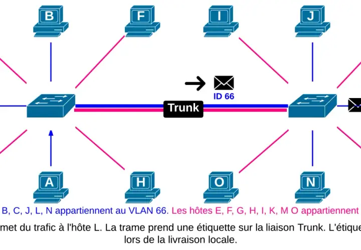 Schéma réseau montrant des ordinateurs connectés à des commutateurs via une liaison Trunk. L'hôte A communique avec L.