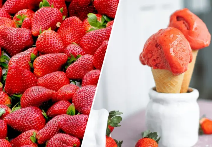 Twój ulubiony napój w sorbet? Zrób go gładko, bez maszynki!