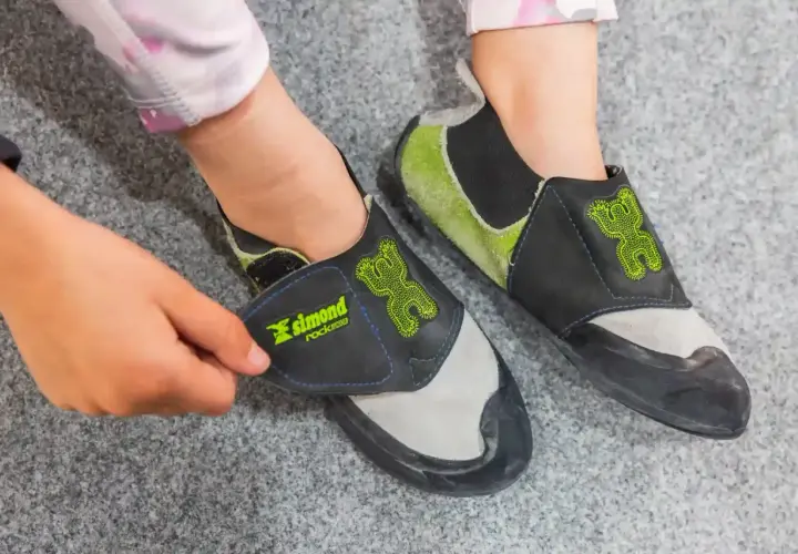 Pies de gato con un diseño de rana verde, listos para escalar. Se ven cómodos, con o sin calcetines.