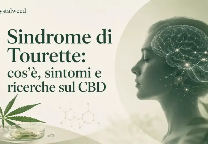 Immagine con testo "Sindrome di Tourette: cos'è, sintomi e ricerche sul CBD". A sinistra, una bottiglia di olio CBD e una foglia di cannabis. A destra, profilo di una donna con un cervello stilizzato sovrapposto.