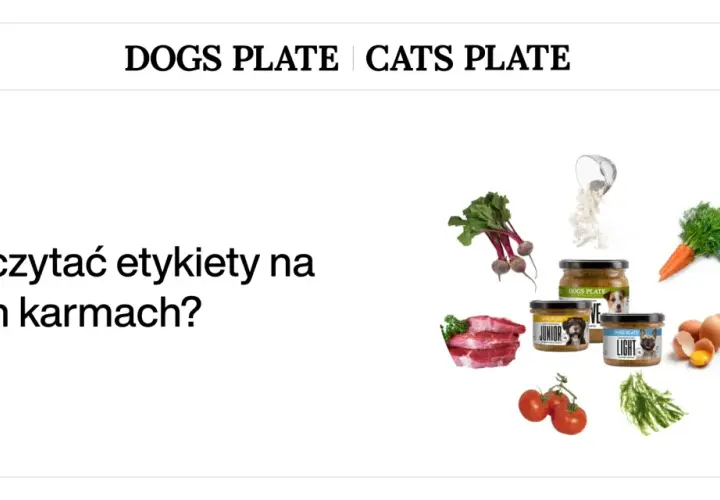 Dobra karma dla psa to klucz do jego zdrowia. Na zdjęciu składniki i etykiety karm.