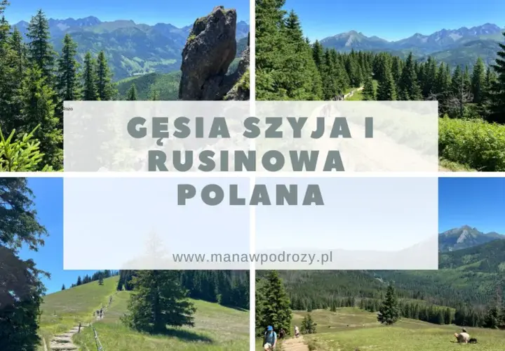 Gęsia Szyja z Wierchu Poroniec: Szlak, Widoki, Porady Kompletny Przewodnik
