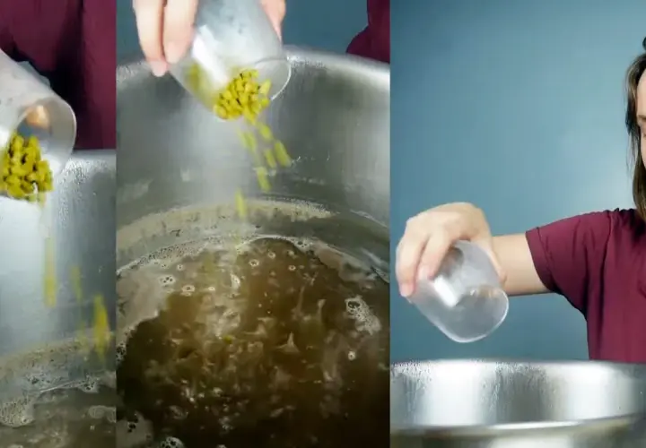 Préparation d'une recette NEIPA : ajout de houblon dans une marmite bouillonnante.