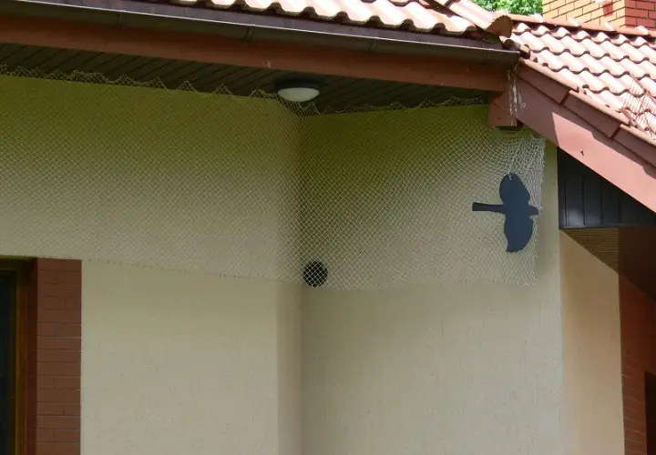 Skuteczne sposoby jak odstraszyć ptaki z elewacji: 8 sprawdzonych metod