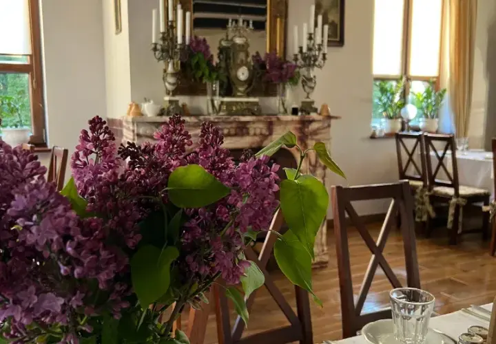 Gdzie zjeść w Drohiczynie? Odkryj najlepsze restauracje i smaki