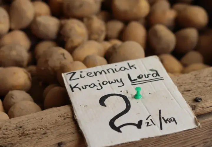 Ziemniak krajowy Lord. Cena ziemniaków 2 zł/kg.