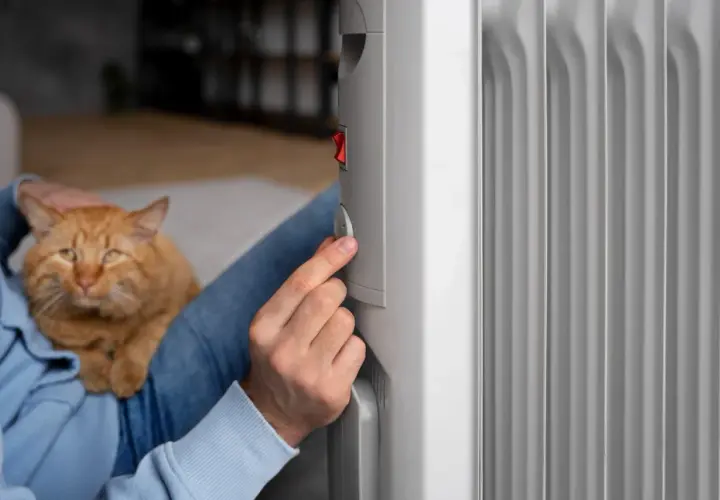 Persona ajusta un emisor térmico, comparándolo con un radiador de aceite, mientras acaricia a su gato.