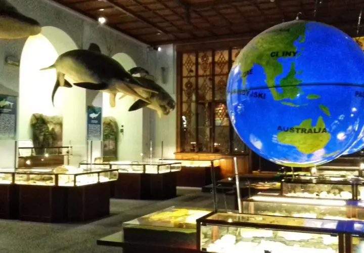 W muzeum dinozaurów w Warszawie można podziwiać modele prehistorycznych zwierząt i wielki glob.