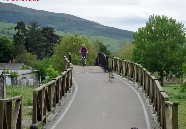 Ciclista y perro disfrutan de la vía verde Cantabria, rodeados de naturaleza y un puente de madera.