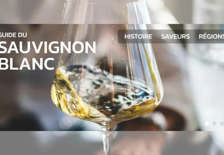 Guide du Sauvignon Blanc : découvrez avec quel plat ce vin se marie parfaitement.