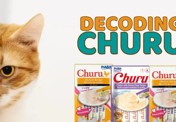 Curious cat peeks out, wondering if Churu is good for cats. Three Churu cat treat packages are displayed.