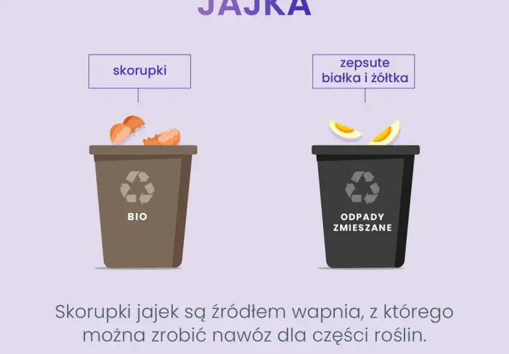 Wytłaczanki na jajka: gdzie wyrzucić? Papier, plastik, styropian