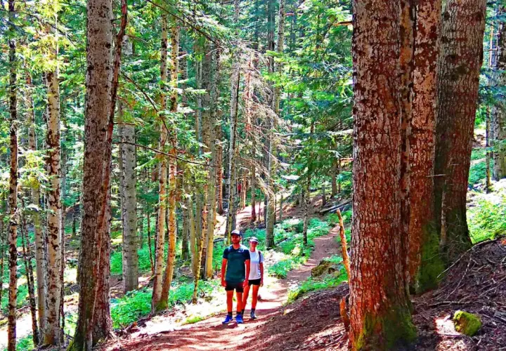 Pareja paseando por el **bosc del gerdar**, un sendero rodeado de altos árboles y vegetación frondosa.