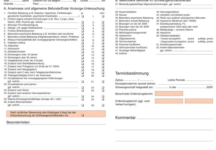 Formular zur Erfassung von Schwangerschaftsdaten, u.a. Anamnese und besondere Befunde im Schwangerschaftsverlauf.