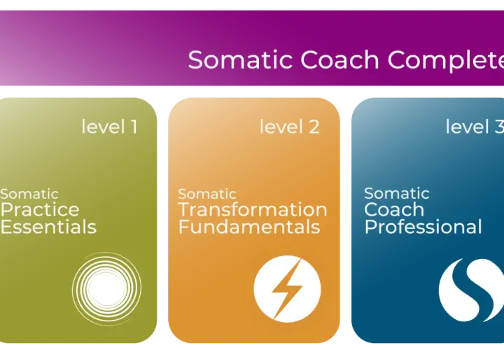 Somatic Coach Complete program outlines three levels: Somatic Practice Essentials, Somatic Transformation Fundamentals, and Somatic Coach Professional, for somatic coaching certification.
