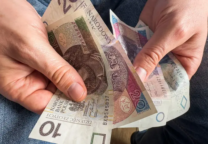 Kuroniówka po studiach? Sprawdź warunki i wsparcie z urzędu pracy
