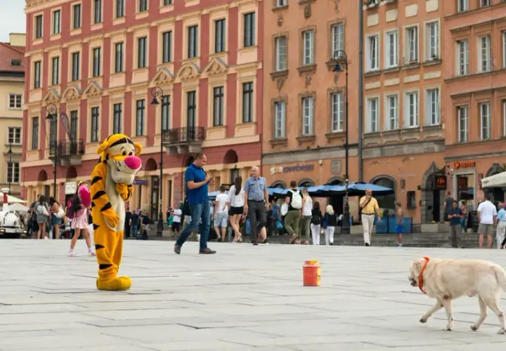 Tygrys z bajki i pies na placu w Warszawie. W tle kamienice i turystyczny pociąg. Idealne miejsce na spacery, takie galerie przyjazne psom warszawa.