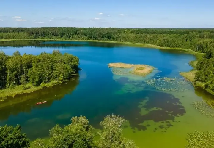 Jezioro Krutyńskie: raj dla wędkarzy i miłośników kajakarstwa