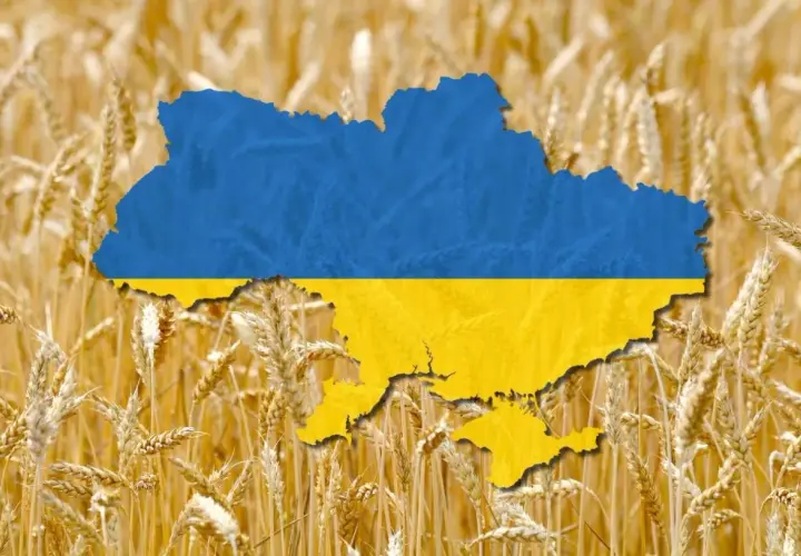 Carte de l'Ukraine aux couleurs du drapeau, superposée sur un champ de blé doré. L'image évoque la richesse agricole et la production de blé de l'Ukraine, un classement mondial important.