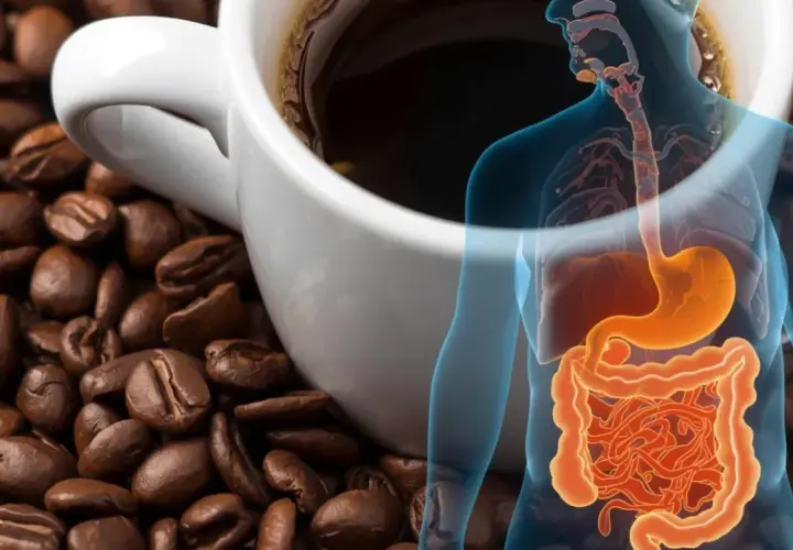 Kaffee und Verdauungstrakt. Die Frage welcher Kaffee ist magenschonend wird visuell thematisiert.