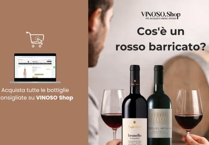 Scopri il significato di "barricato" con i vini rossi di VINOSO.Shop. Acquista online le migliori bottiglie consigliate.
