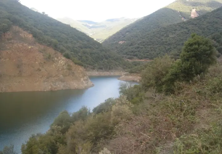Embalse de Vallforners, un lago sereno rodeado de colinas verdes y rocosas, con vegetación densa en primer plano.