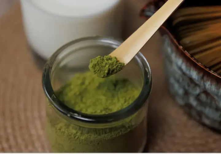 Sypka zielona matcha na bambusowej łyżeczce, obok słoiczek z proszkiem, szklanka mleka i miotełka do ubijania. Idealne składniki, by dowiedzieć się, jak pić matcha.