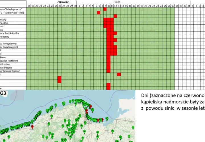Bałtyk: Jaka woda? Zasolenie, temperatura, sinice pełna prawda