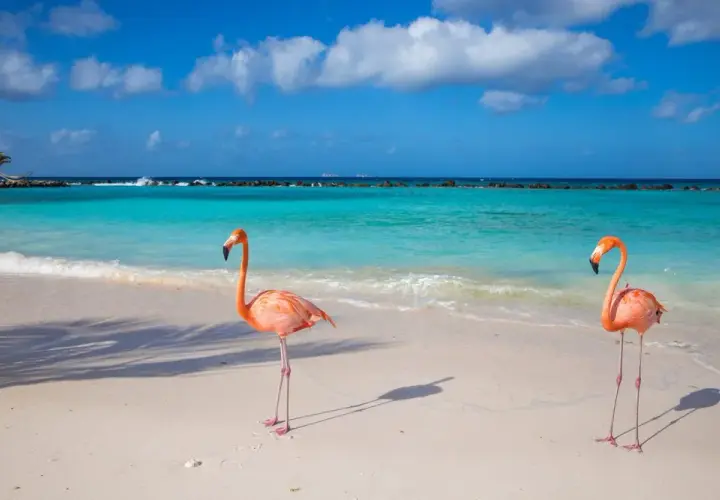 Aruba: Gdzie leży i dlaczego to idealne wakacje przez cały rok?