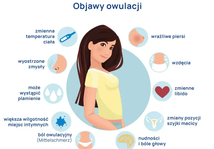Owulacja: Twój klucz do płodności. Rozpoznaj objawy i planuj ciążę