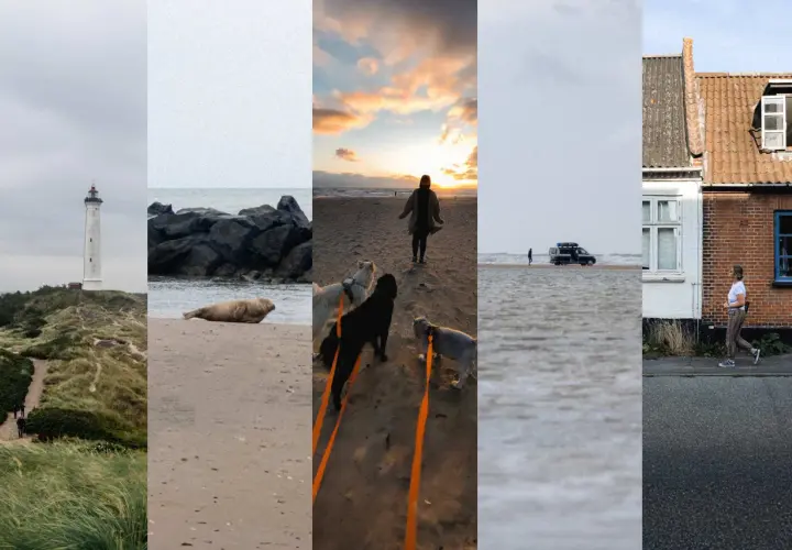 Dania kamperem: latarnia morska, foka na plaży, spacer z psami o zachodzie słońca, kamper na wodzie, kobieta biegnie.