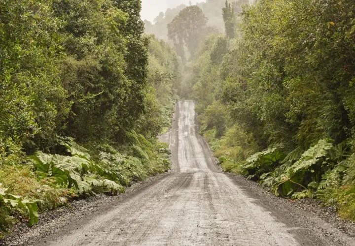 Camino de ripio ascendente rodeado de exuberante vegetación y niebla, evocando la aventura de la Carretera Austral.